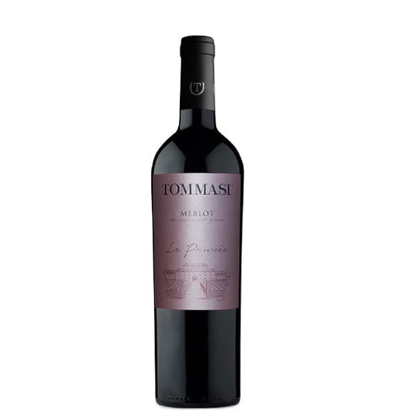 Tommasi Merlot